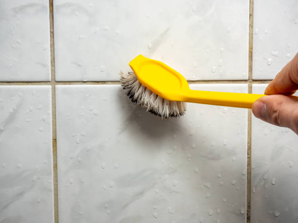Best Mold Remediation  in Firthcliffe, NY