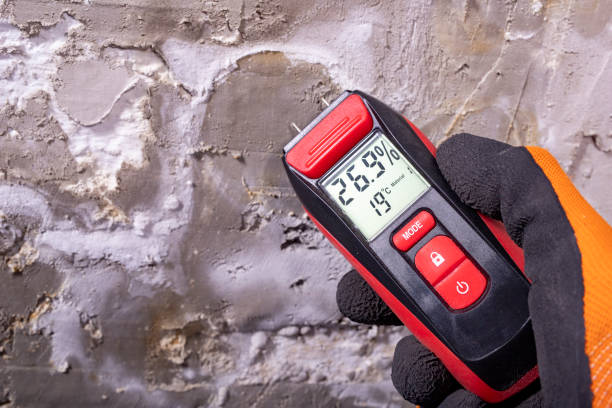 Best Mold Testing  in Firthcliffe, NY